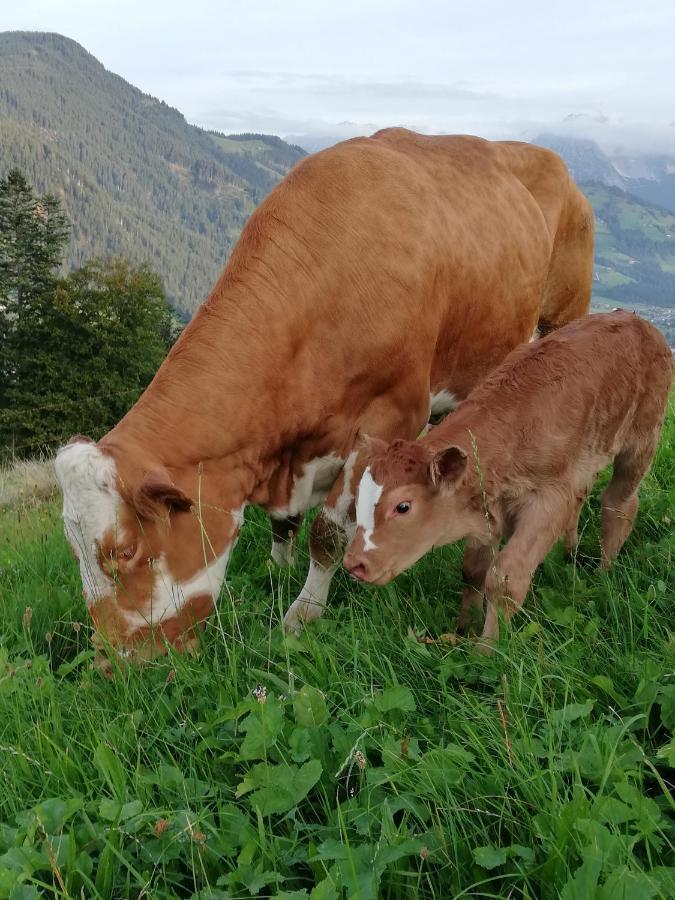 キッツビュール Hahnenkammblickヴィラ エクステリア 写真