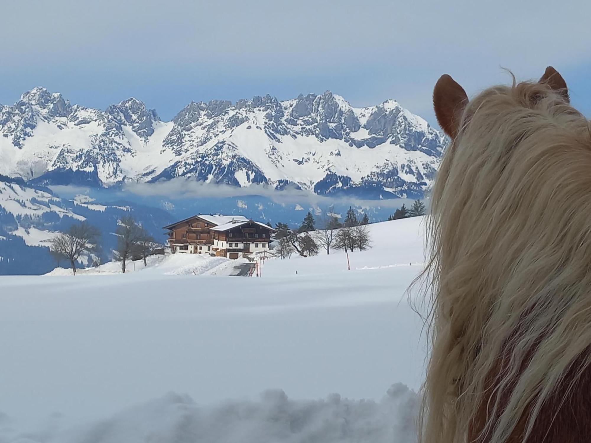 キッツビュール Hahnenkammblickヴィラ エクステリア 写真