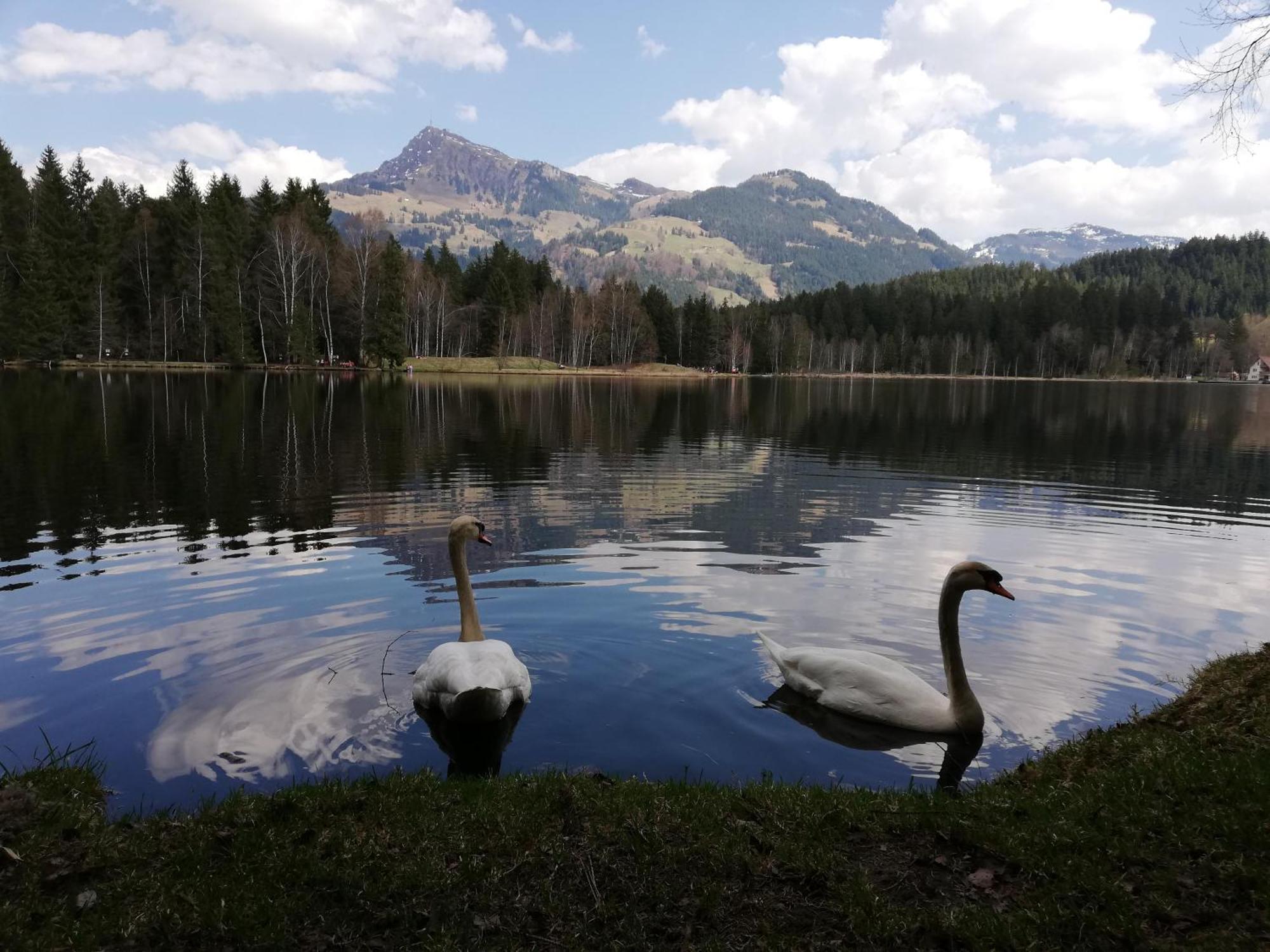 キッツビュール Hahnenkammblickヴィラ エクステリア 写真